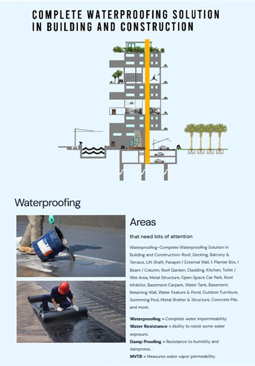 website design
